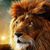 Mauro D'Aguanno's profile image