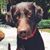 Perry Cronin's profile image