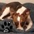 Marla Campbell's profile image