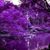 Angi Marie Delawder's profile image
