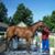John Wallis Greathouse's profile image