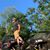 Mitchell Goyer's profile image