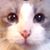 Susan Cain's profile image