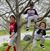 Tammy Lawton Ritacco-Armitage's profile image