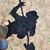 Michael Jake Jaques's profile image