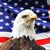 Carlyle J N.'s profile image