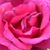Joan O Siegel's profile image