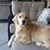 Deb Chastain Barnett's profile image