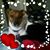 Bernadette An James Righter's profile image