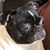 Jason Bohringer's profile image