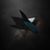 Raylene Perry's profile image