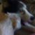 Angie Barker's profile image