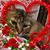 Marie Bresley's profile image