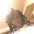 Jazz Montana's profile image