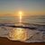 Lorena Patterson Wachter's profile image