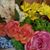 Joy Michael Bollich's profile image