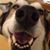 Nancy Talbot Freeman's profile image