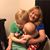 Karen Coulter's profile image