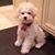Raani Kissinger's profile image