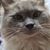 Joann S Van Blaricom's profile image
