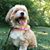 Mark Strebe's profile image