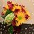 Roxzana Cartagena's profile image