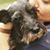 Sarah K. Allison-Armstrong's profile image