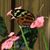 Sandi Wilkinson's profile image