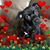 Gina Chastain McKim's profile image
