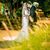 Fernanda Silveira's profile image