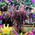 Donna Pitre Durand's profile image