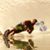Dr-Alawi Taqi's profile image