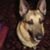 Cathy Skipper's profile image