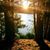 Jamie Oliver Lamb's profile image