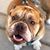 MelnAng Rodriguez's profile image