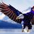 Sherry Wiltsey's profile image