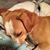 Kathy Slimmer's profile image