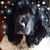 Pat Clare McCurdy's profile image