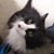 Sue Dobek McKenna's profile image