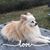 Margo Bluhm's profile image