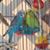 Kathryn L. Hannah-Garren's profile image