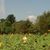 Dawn Kuebler's profile image