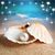 Rebecca Lynn Rockwell's profile image