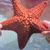 Jackie Boudreau Kearney's profile image