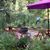 Barb Holub's profile image