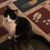 Kathrine Campbell's profile image