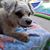 Debbie Taylor Geiger's profile image