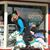 Kayla Hemans's profile image