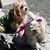Dana Jo Craig-Lovern's profile image