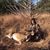 Donna LaVictoire's profile image